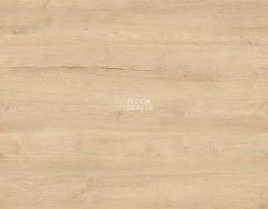Kronotex Exquisit Plus d40402 Дуб Бодега Бежевый фото 1 | FLOORDEALER