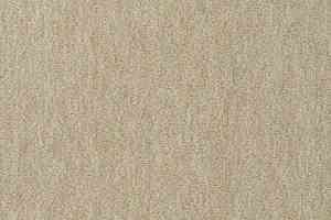 Ковролин Vorwerk Passion 1002 Vorwerk 8j06 фото  | FLOORDEALER