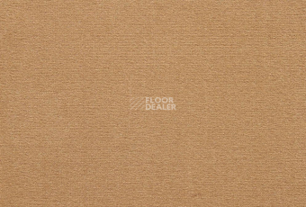 Ковролин ITC Roxane 40 фото 1 | FLOORDEALER