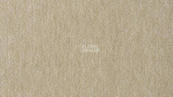 Ковролин Vorwerk Passion 1002 Vorwerk 8j06 фото 1 | FLOORDEALER