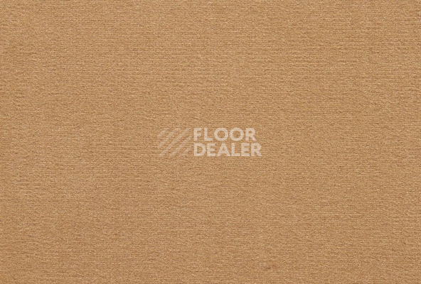Ковролин ITC Roxane 40 фото 1 | FLOORDEALER