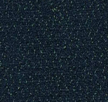 Ковролин Desso Champion 3841 фото 1 | FLOORDEALER