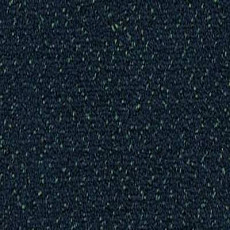 Desso Champion 3841 фото 1 | FLOORDEALER