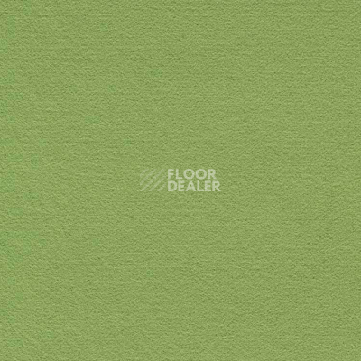 Ковролин Finett Feinwerk 603502 фото 1 | FLOORDEALER