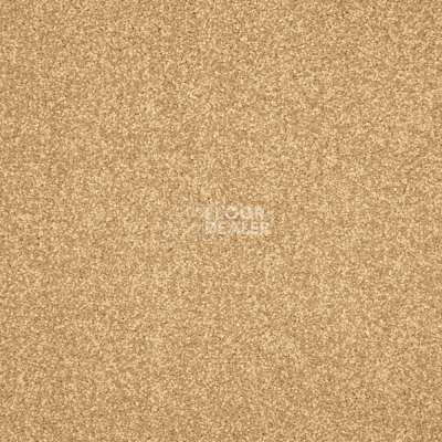 Ковролин AW Masquerade Isotta 35 фото 1 | FLOORDEALER