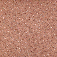 Ковролин Vorwerk Allegro 1b35 фото 1 | FLOORDEALER