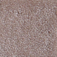 Ковролин Serene Beaulieu of America 15 фото 1 | FLOORDEALER