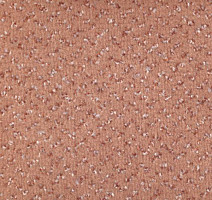 Ковролин Vorwerk Allegro 1b35 фото 1 | FLOORDEALER