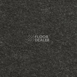 Ковролин AW Obsession 97 фото 1 | FLOORDEALER