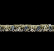 Desso Shape ac 74 7854 фото 5 | FLOORDEALER