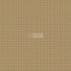 Ковролин Agnella Creation Asta Straw фото 1 | FLOORDEALER