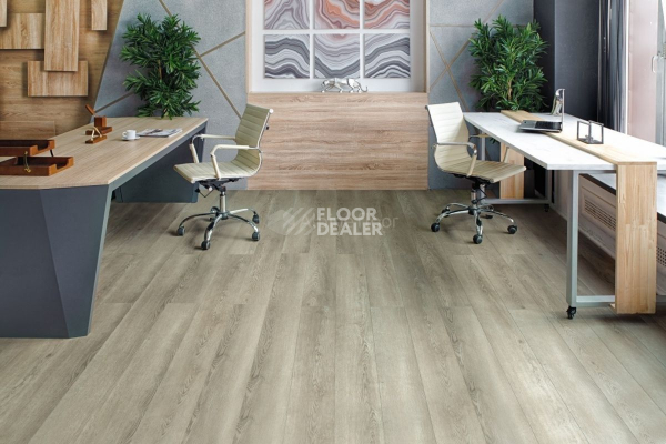 Alpine Floor Grand Sequoia (1524x180) ГРАНД СЕКВОЙЯ ШВАРЦЕВАЛЬД ECO 11-18 фото 2 | FLOORDEALER