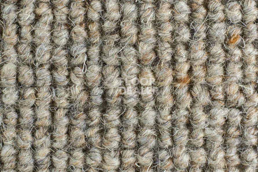 Ковролин Best Wool Nature Ordina 139 фото 1 | FLOORDEALER