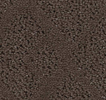 Ковролин Balsan Riziere 760 фото 1 | FLOORDEALER