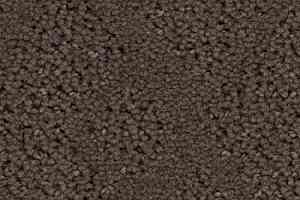 Ковролин Balsan Riziere 760 фото  | FLOORDEALER