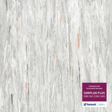 Линолеум Tarkett Somplan Plus 3380 262 (3381 262) фото 1 | FLOORDEALER