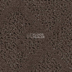 Ковролин Balsan Riziere 760 фото 1 | FLOORDEALER