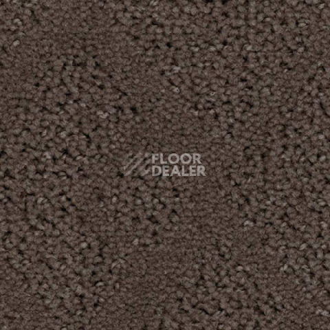 Ковролин Balsan Riziere 760 фото 1 | FLOORDEALER