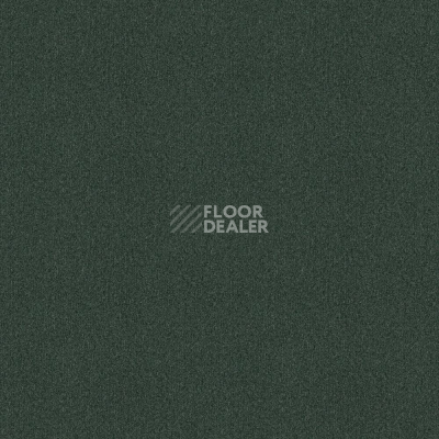 Ковровая плитка Tessera basis pro 4386 Foliage фото 1 | FLOORDEALER