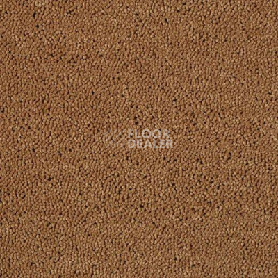 Ковролин Lano Casanova 330 фото 1 | FLOORDEALER