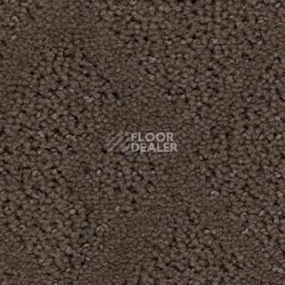 Ковролин Balsan Riziere 760 фото 1 | FLOORDEALER