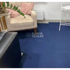 Apoluza Royal 7003 фото 2 | FLOORDEALER