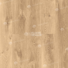 Кварцвиниловые полы Alpine Floor Premium XL Дуб Природный Изысканный ABA ECO 7-6 фото 1 | FLOORDEALER