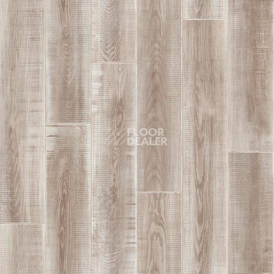 Линолеум Tarkett Комфорт BENGAL 2 фото 1 | FLOORDEALER