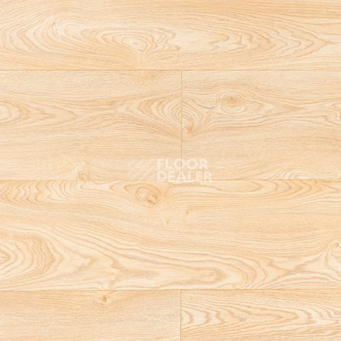 Ламинат My Step Mega Evolution XL 33/8мм Дуб Турин MS448 фото 1 | FLOORDEALER