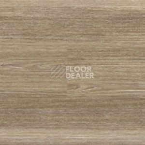 Линолеум Polyflor Expona Wood 6167 фото 1 | FLOORDEALER