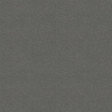 Ковровая плитка Tessera basis pro 4372 Seal фото 1 | FLOORDEALER