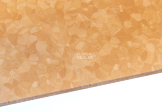 Tarkett iq Melodia 2635 фото 5 | FLOORDEALER