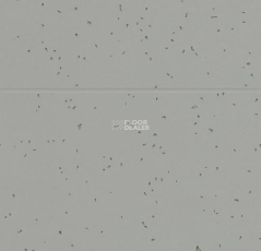 Forbo Sphera Energetic 50216 pigeon фото 2 | FLOORDEALER