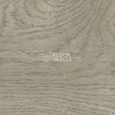 FineFloor FF-2000 Rich 2079 Дуб Малага фото 2 | FLOORDEALER