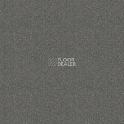 Ковровая плитка Tessera basis pro 4372 Seal фото 1 | FLOORDEALER