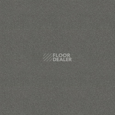 Ковровая плитка Forbo Tessera basis pro 4372 Seal фото 1 | FLOORDEALER