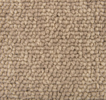 Standard Carpets Spectrum sm 594 фото 2 | FLOORDEALER