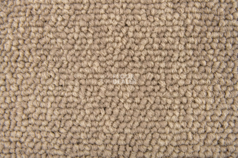 Standard Carpets Spectrum sm 594 фото 2 | FLOORDEALER