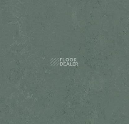 Линолеум Forbo Marmoleum Solid Concrete 3752 taiga фото 1 | FLOORDEALER
