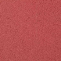 Линолеум Gem 4.5 4.5 Red фото 1 | FLOORDEALER