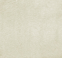 Ковролин AW Silk 30 фото 1 | FLOORDEALER