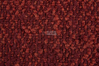 Haima Coral 36 фото 3 | FLOORDEALER