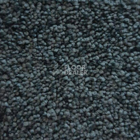 Ковролин Condor Carpets Dynasty 84 фото 1 | FLOORDEALER