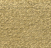 Ковролин Emphatic Beaulieu of America 56321 фото 1 | FLOORDEALER