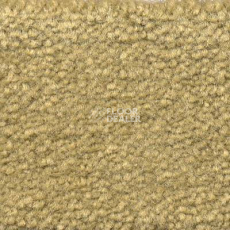 Ковролин Emphatic Beaulieu of America 56321 фото 1 | FLOORDEALER