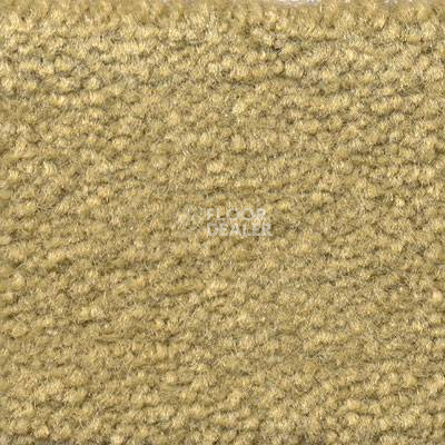 Ковролин Emphatic Beaulieu of America 56321 фото 1 | FLOORDEALER