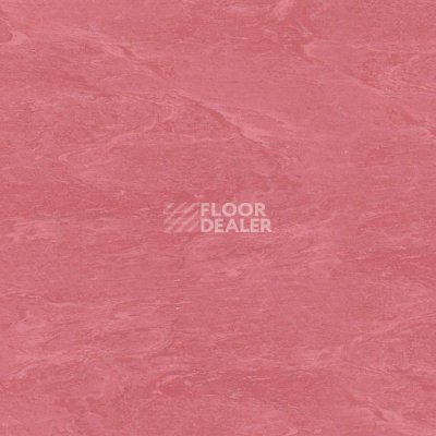 Кварцвиниловые полы Polyflex Plus PU 7380 фото 1 | FLOORDEALER