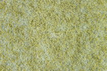 Flotex Colour Penang 50*50 t 382006 Penang Sage фото 2 | FLOORDEALER