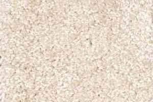 Ковролин AW Silence 36 фото  | FLOORDEALER