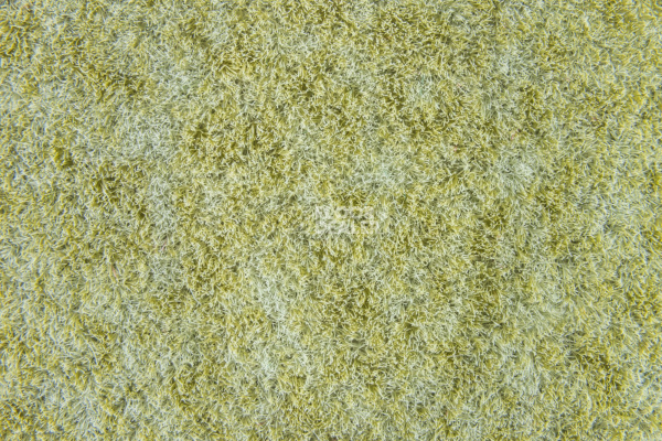 Flotex Colour Penang 50*50 t 382006 Penang Sage фото 2 | FLOORDEALER